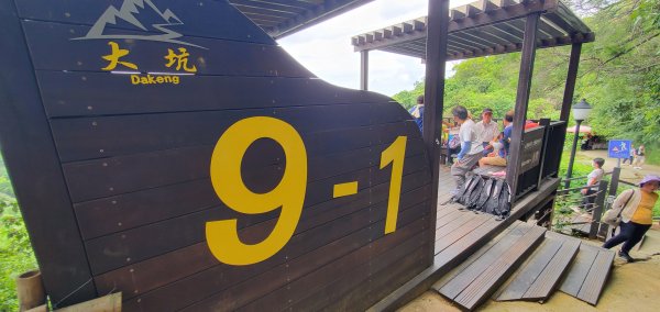 2023-08-12大坑9、10、9-1步道2247941