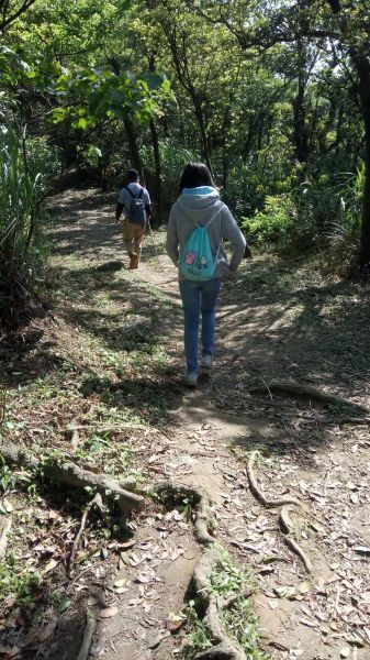 大尖山（小百岳）→四分尾山→秀峰瀑布306834