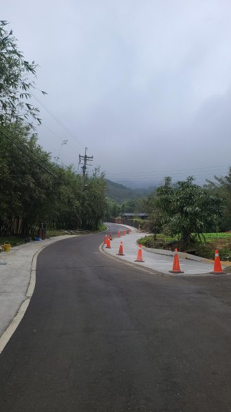 2025-01232淡蘭古道北二段(燦光寮古道到澳底)2696541