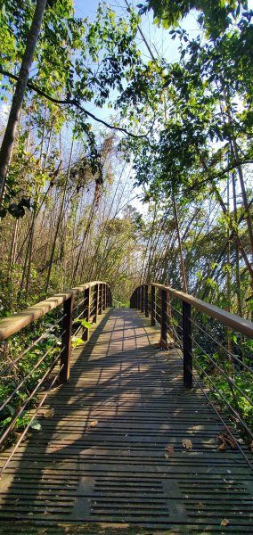 2025-01-30迷糊步道2704449