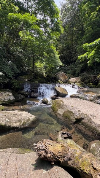 戲水（鴛鴦2786720