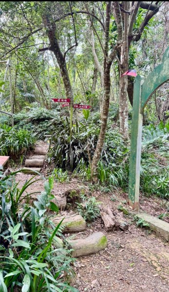 大艽芎古道縱走 新/溪州山(小百岳#23) 出溪州公園2893988