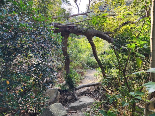 小百岳No.80⛰里龍山2776332