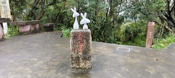 2026/03/01-紅淡山步道3010071