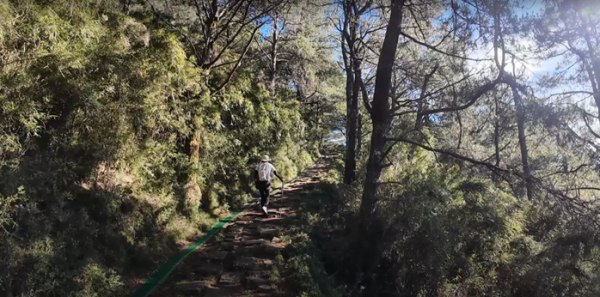 塔塔加五連峰2831418