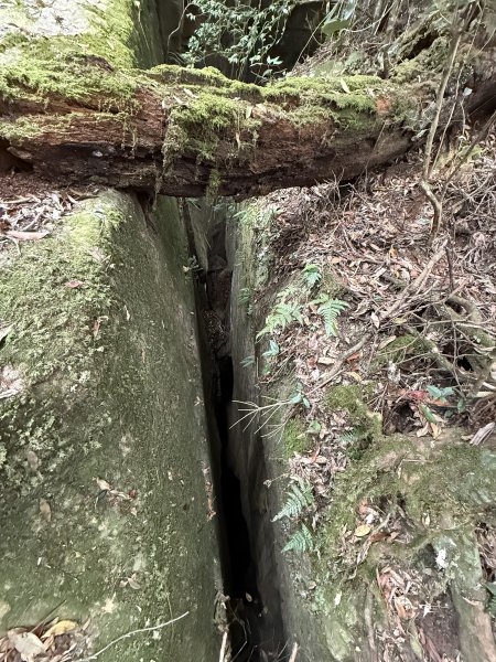 大坪祕境的奇岩2672550