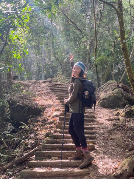 馬那邦山登山步道 NO 37 / 苗栗縣大湖鄉--我的第13座小百岳1598257