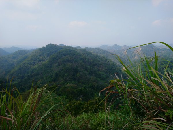 霧峰奧山桐林山步道群通爬860258