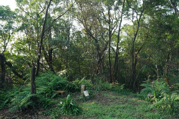 新北 新店 石碇後山、赤腳蘭山、暗寶劍山、鳥嘴尖2793478