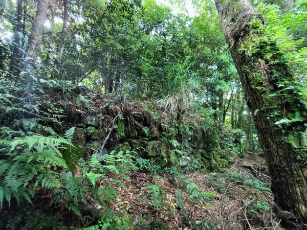 屯野生台山、石麻達山、錦屏山縱走1708380