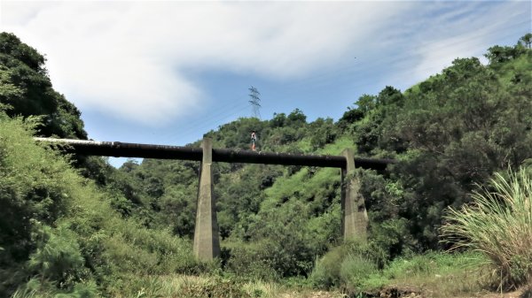 香港山系 － 九龍 • 新界934532