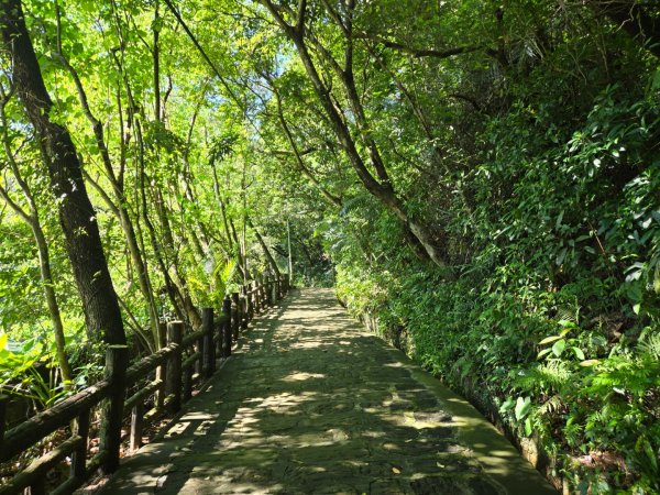 火焰山、天上山（小百岳）O繞3076298