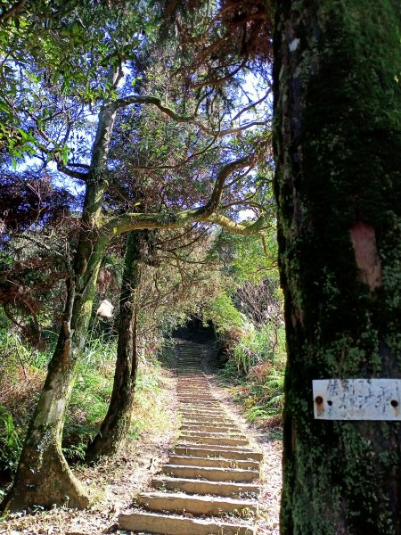 【基隆-臺灣百大步道】姜子寮山和泰安瀑布1268265