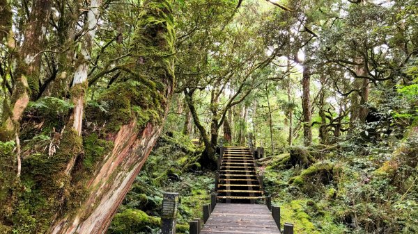 太平山森林遊樂區，檜木原始林步道，九寮溪自然步道，戈霸瀑布，開眼崙登山步道1859659