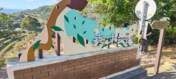 秀才登山步道2936924