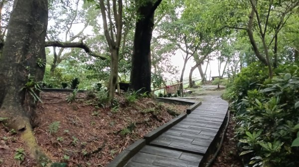 信義區虎山溪步道-岩刻佛像岩下路-四獸山步道-拇指山-南港山-九五峰-麗山橋口步道3076169