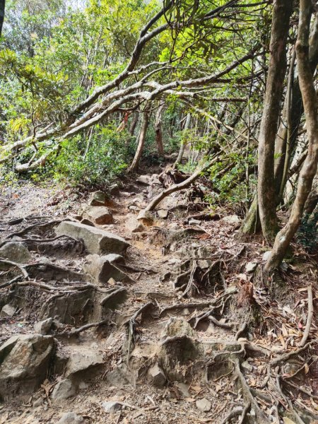 橫沙笛縱走2668682