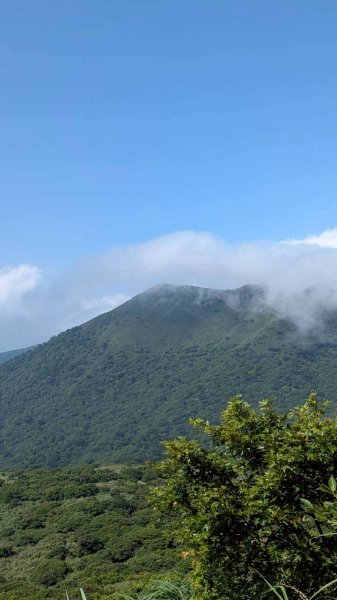大屯山主峰步道3067629