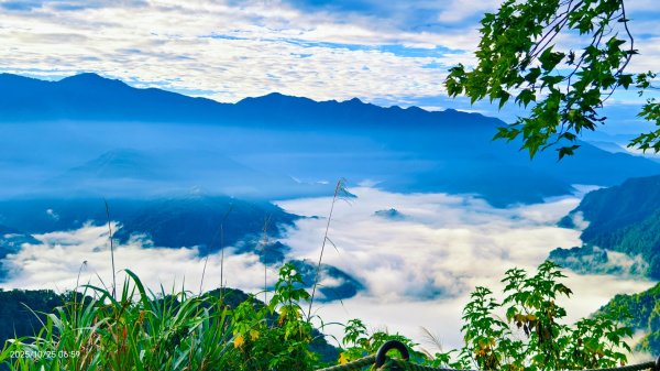 #馬那邦山 #琉璃光 #日出 #雲海 #山羌 #楓葉 10/25 & 11/12924625