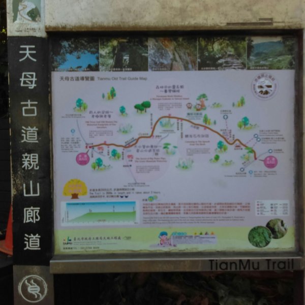 【臺北親山拓印趣】天母古道、中山北路853835