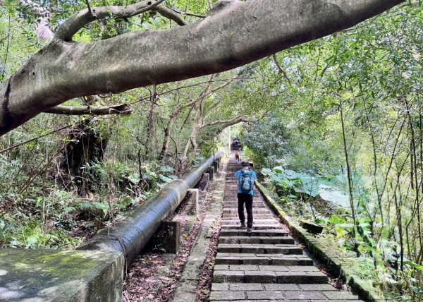 天母水管路走陽明山尖山2881351
