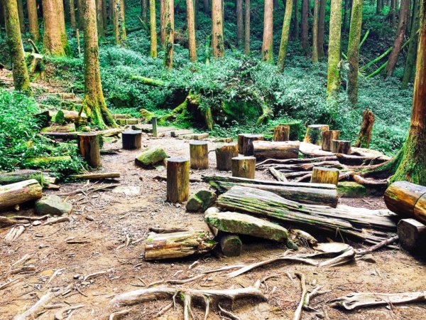 一路風景變化的美麗特富野古道557404