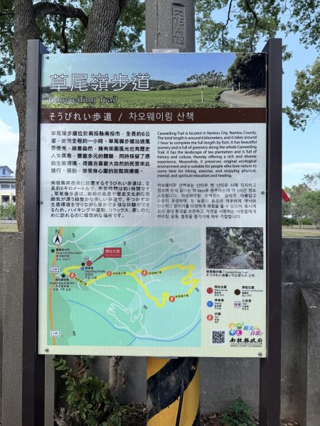 草尾嶺步道血藤花大爆開    2025.3.272748131