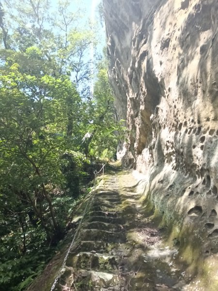 平溪區東勢格越嶺古道+孝子山步道(慈恩嶺+慈母峰)探花(艷紅鹿子百合)路線O型2848665