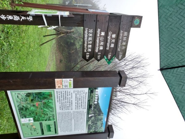 小油坑～七星山～冷水坑～擎天崗1940752