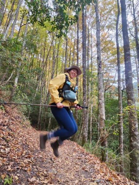 霞喀羅古道全線解鎖（石鹿到養老）2961042