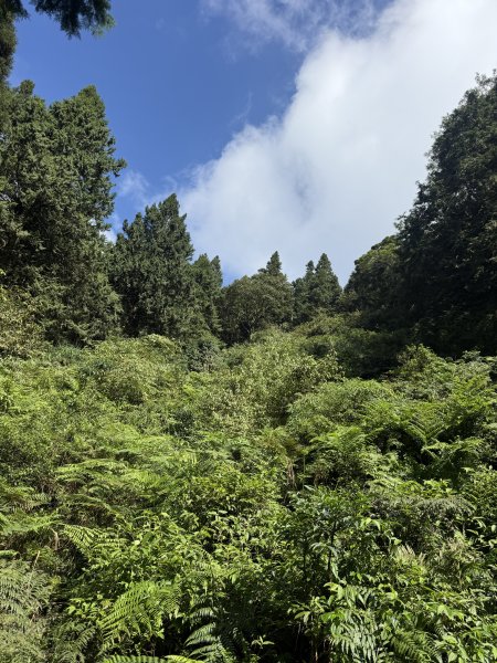91北大武山（至檜谷山莊）115.10.043128646