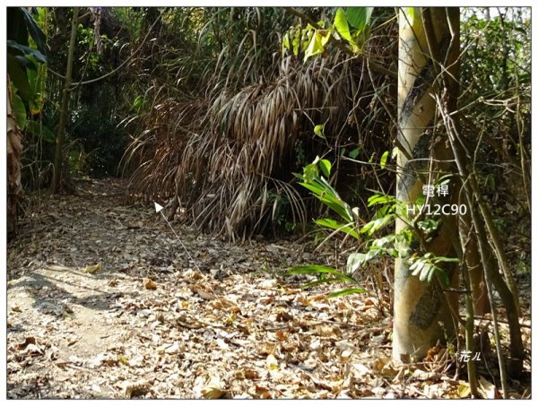 東南坑山(台中-太平)1279621