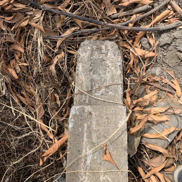 20250503屏東基石-大餉營庄東北2781525