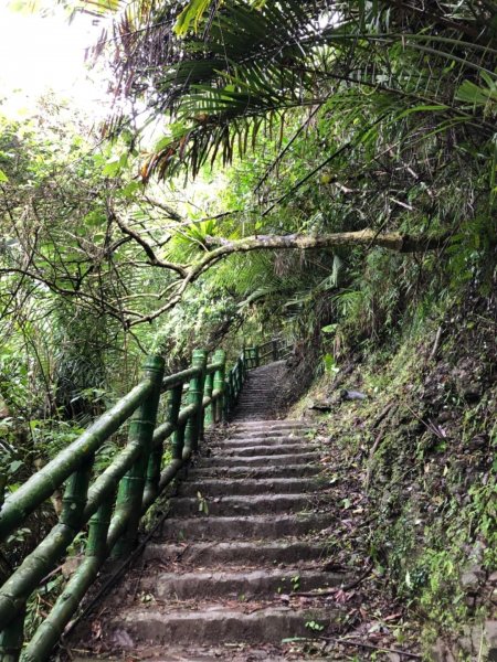 嘉義連峰獨立山大巃頂紅楠坑觀音石阿拔泉633136