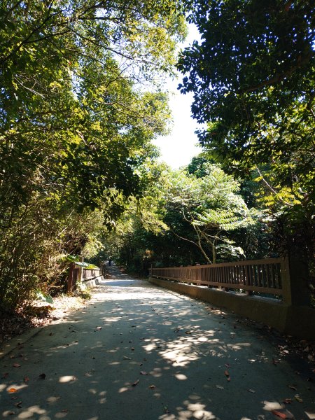 松柏嶺O形2908133