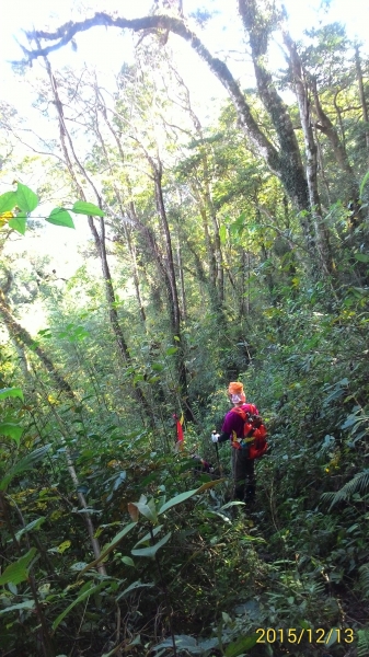 20151213尖石鄉屯野台山石麻達山28003