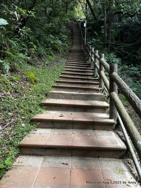 連走微笑山線第一段＋第二段（大棟山系）2853017