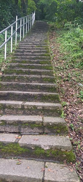 大尖山.新北汐止3050903