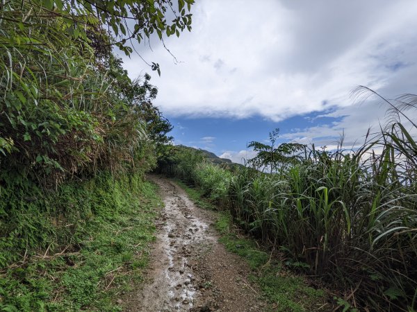 石尾路步道燦光寮山1655491