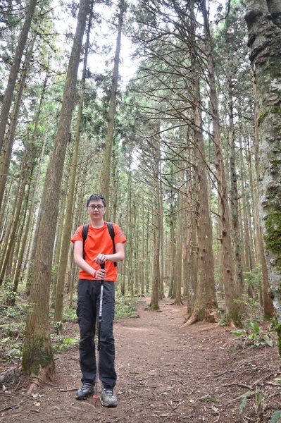 中級山-高島縱走2888389