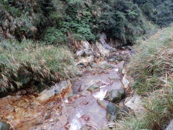 魚路古道北段+挑硫古道+大油坑山O型816224