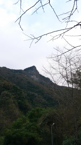 水雲三星之鳳-上島山(鳥嘴山)508298