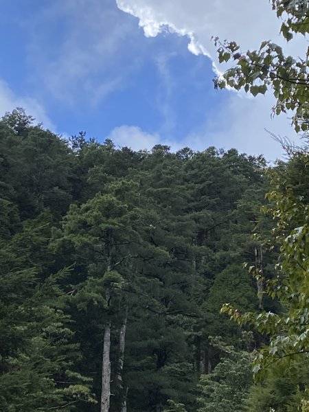 大雪山小雪山馬鞍山3061086