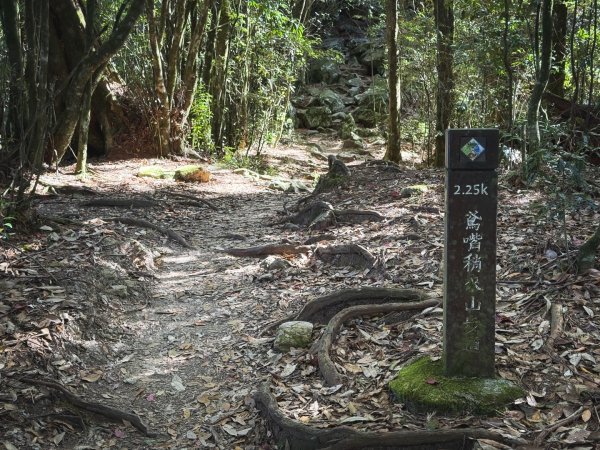 鳶嘴稍來步道賞楓季 ，大雪山門票優惠到12/31！2969551