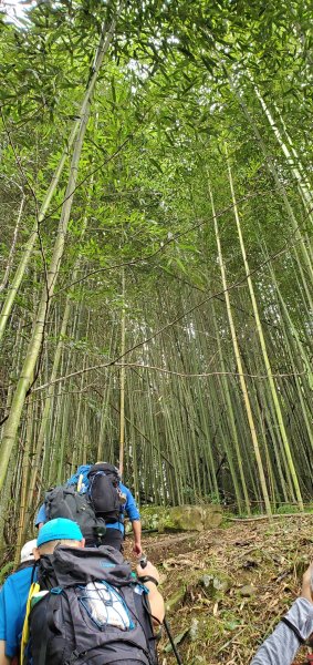 神阿縱走前的前哨站_獵人古道連接望美山與瓊山2333436