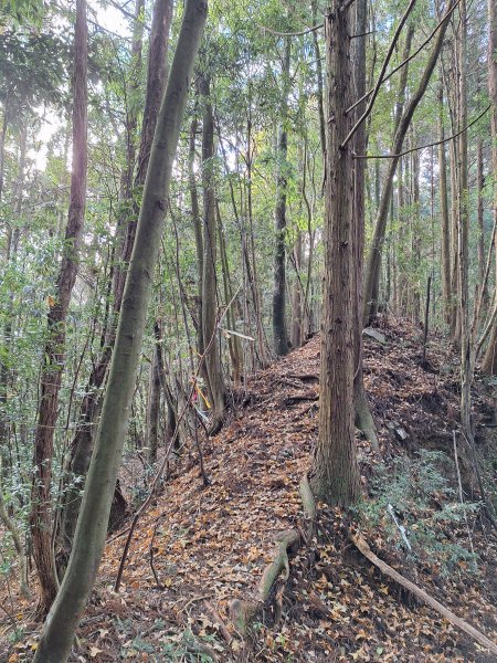 盡尾山202512252971992