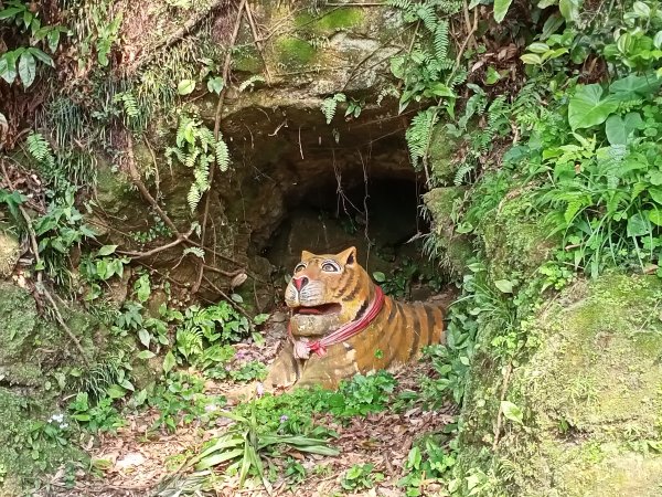 金山獅頭山公園入口、汐止新山夢湖2096709