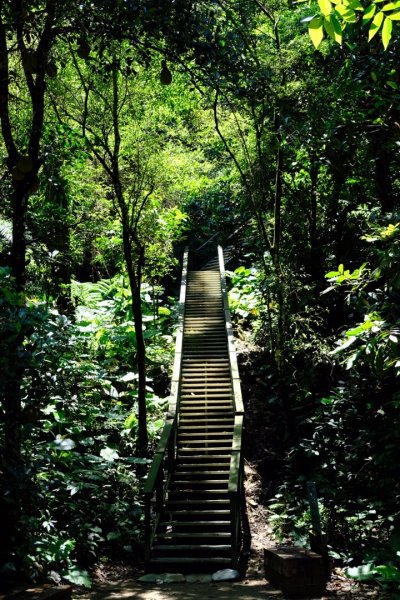 小百岳no62紅毛埤山596161