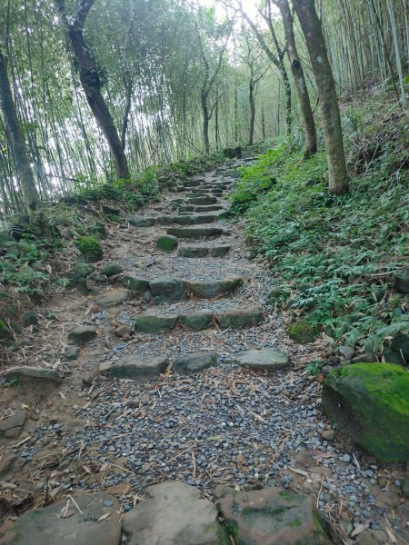 關仔嶺大凍山(夏季不要早上6點來、您會愛上這座山)2552190