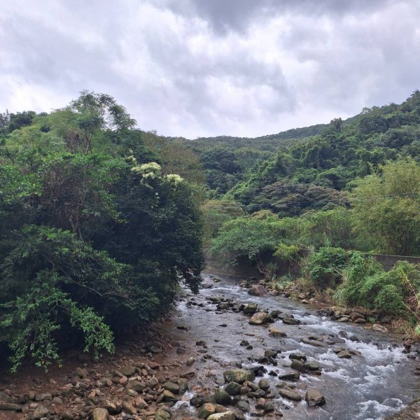 【2025草嶺古道芒花季】完成!2929474